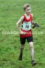 Boys under-13s, NECAA Junior Cross Country Relays, Thornley Farm, Peterlee, Saturday, December 12th. Photo: David T. Hewitson/Sports for All Pics